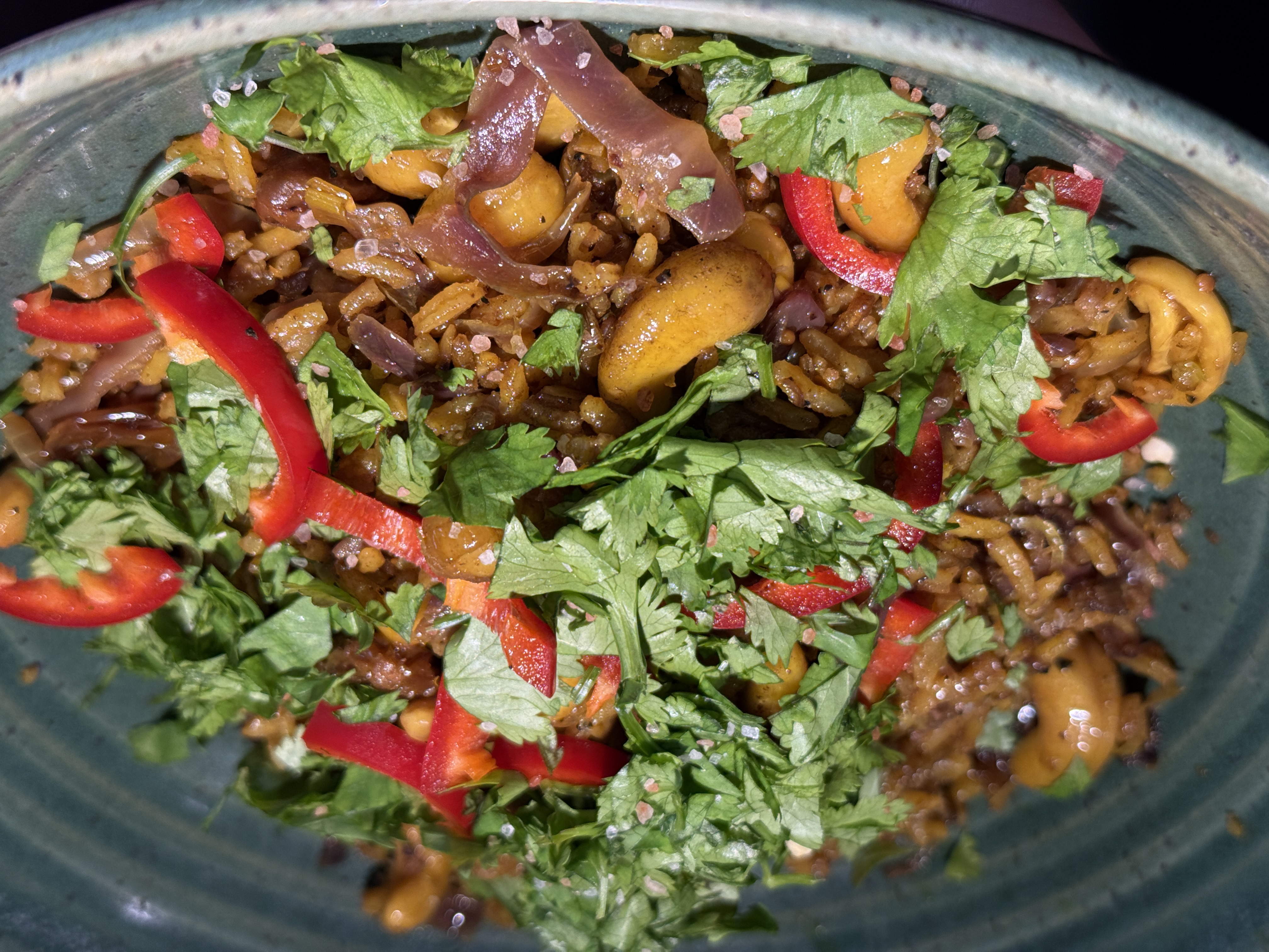 The finished biryani plated with fresh cilantro and sliced red pepper
