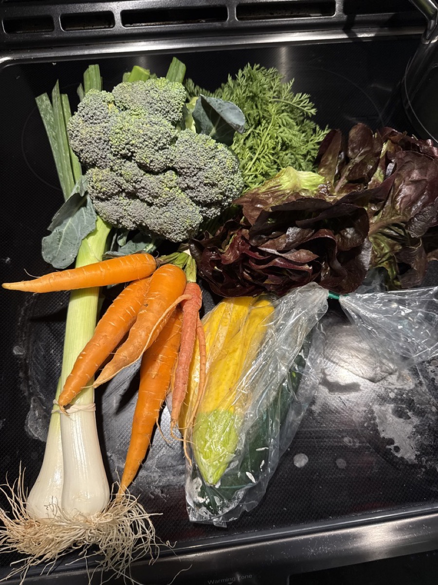 A pile of fresh vegetables on a black glass cooktop: a large head of broccoli, a bunch of carrots in orange and deep red, a frilly head of red leaf lettuce, leeks with their roots still attached, feathery green carrot tops, and a clear bag holding yellow and green summer squash.