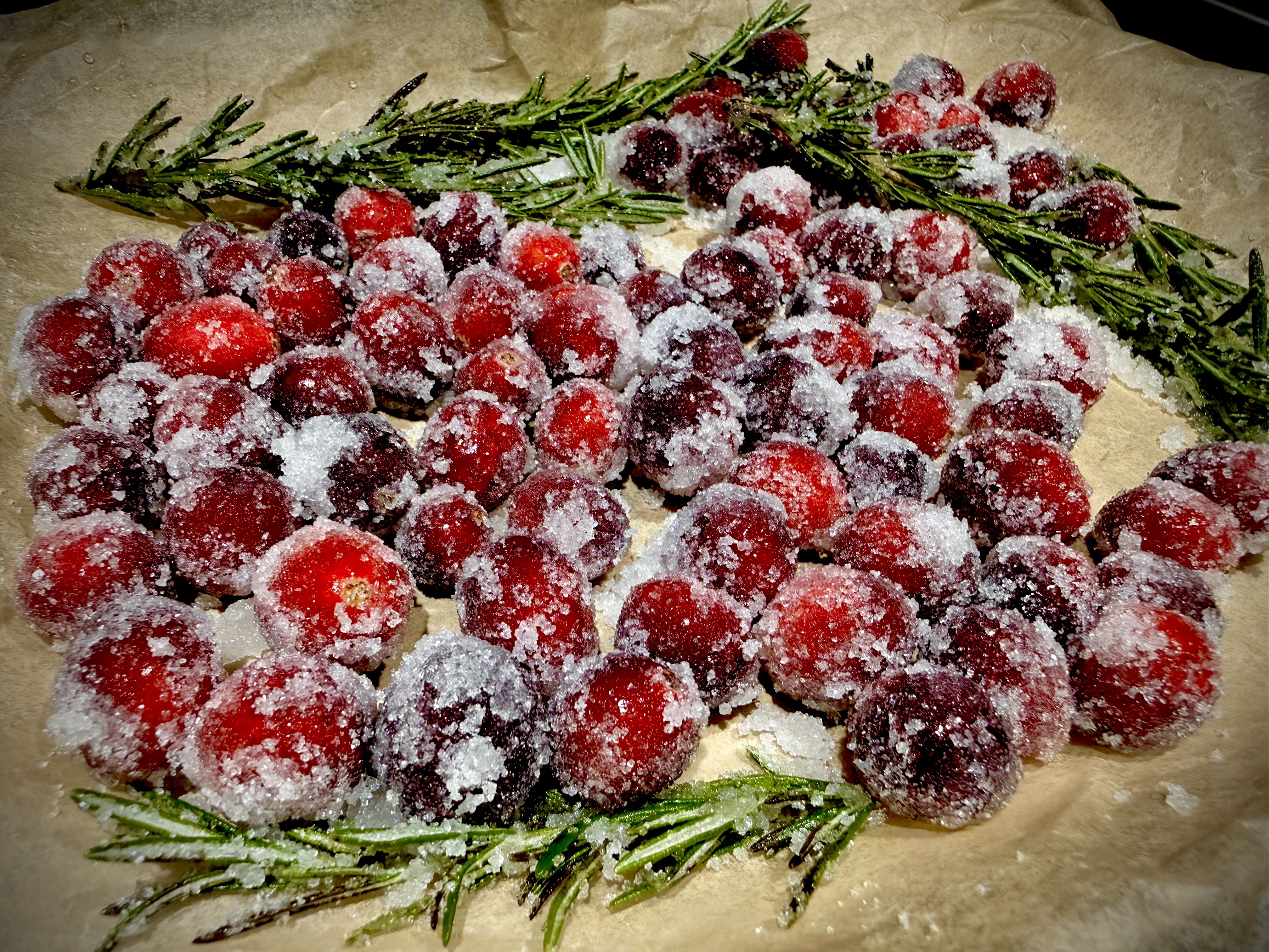 Fresh cranberries and rosemary sprigs coated in sugar, drying on parchment paper.