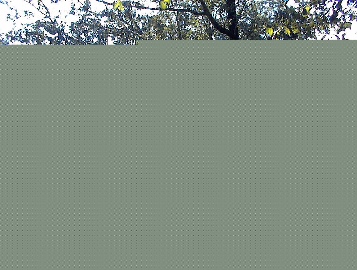/eric/kestrelsnest-blog/raw/branch/main/static/legacy/birthday/BigImage14.jpg