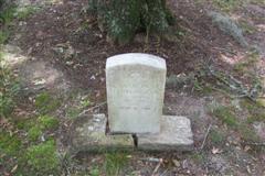 /eric/kestrelsnest-blog/raw/branch/main/static/legacy/revcemetery/tomlinsonthumb.jpg
