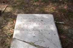 /eric/kestrelsnest-blog/raw/commit/527f0a26407fc59519b23e100f4d5154cacf9365/static/images/legacy/revcemetery/gunnthumb.jpg