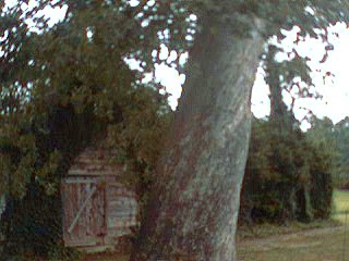 /eric/kestrelsnest-blog/raw/commit/527f0a26407fc59519b23e100f4d5154cacf9365/static/legacy/curtain/img/9.jpg